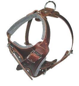 Cane Corso adjustable dog harness - H1